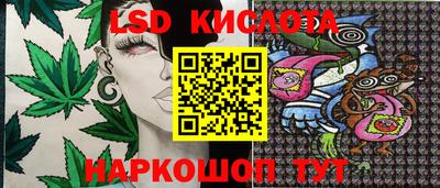 таблы Новозыбков