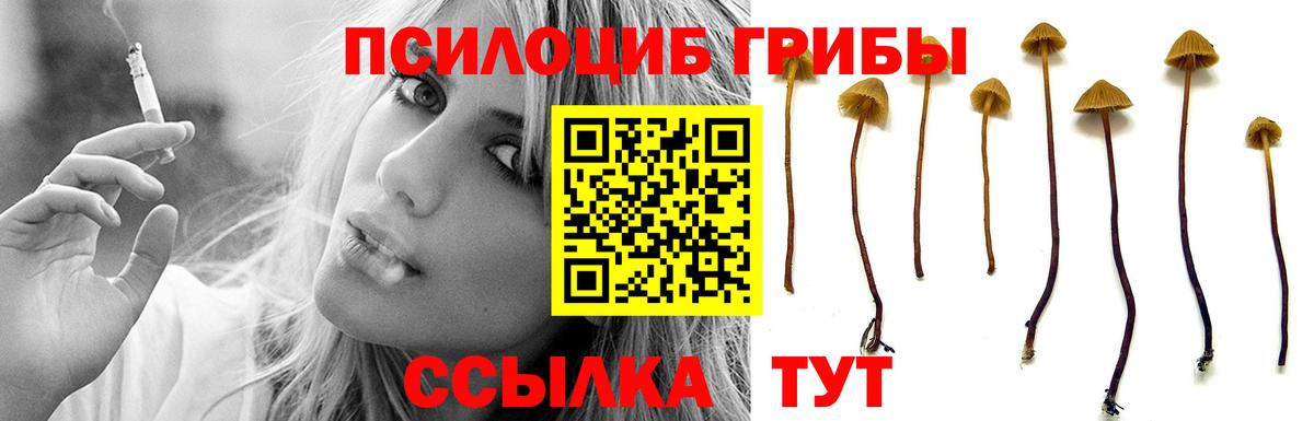 Галлюциногенные грибы GOLDEN TEACHER Сунжа